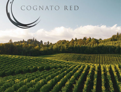 Cognato Wines Now Available in Singapore