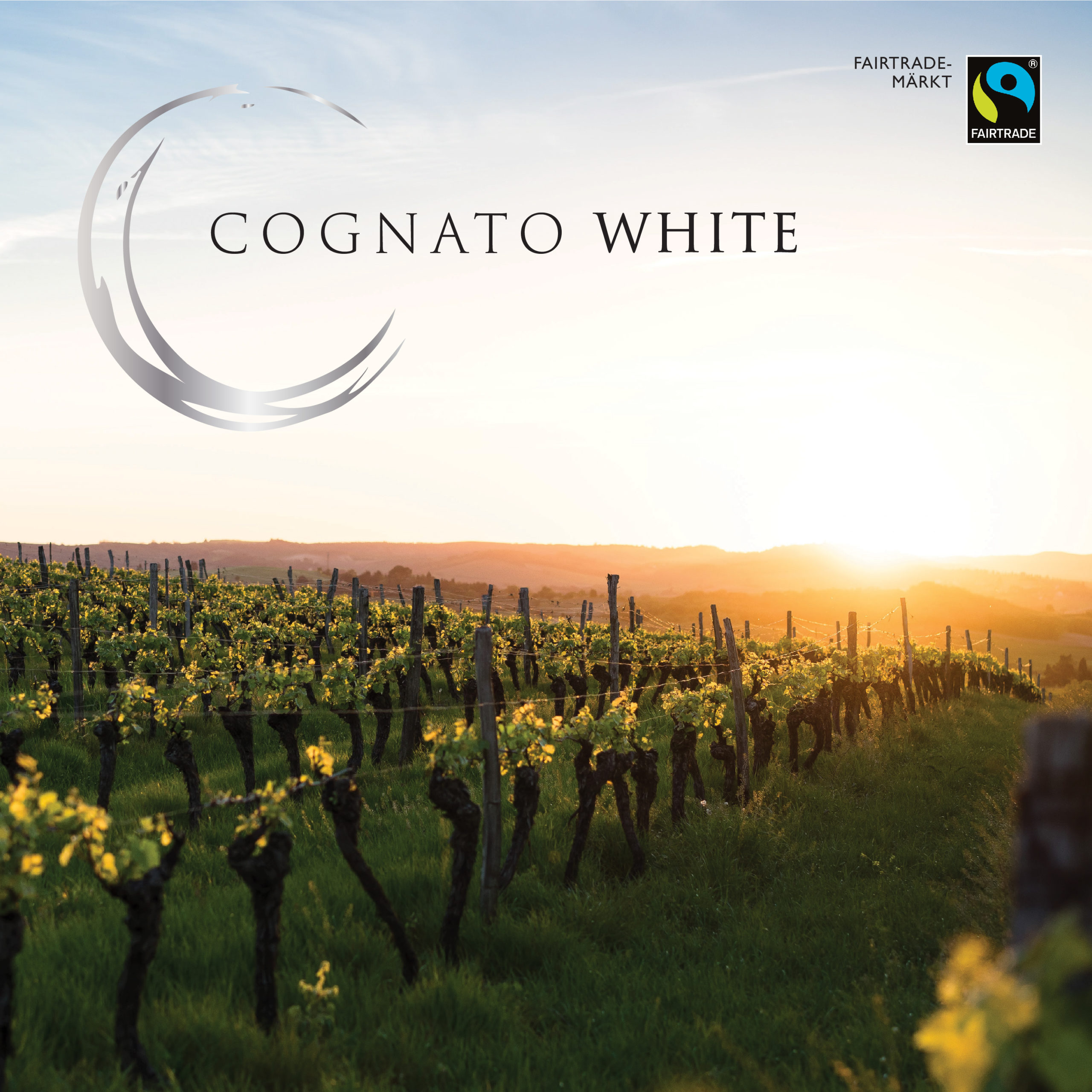 Cognato Wines