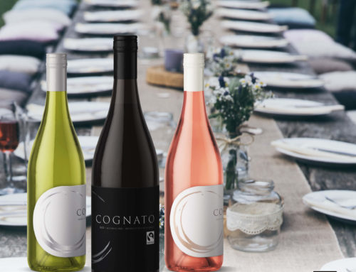 Cognato Wines now available in the Netherlands